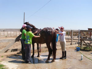ducha